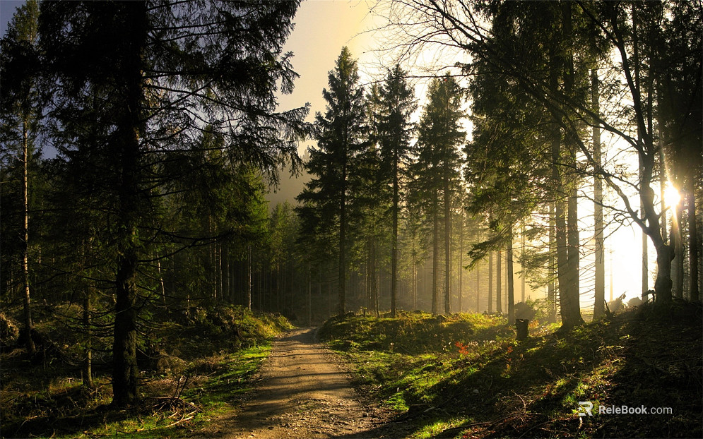 Wild Scenery texture