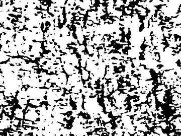 Black and White Bark Texture Decoration Map texture (ID:ffaeh364716)