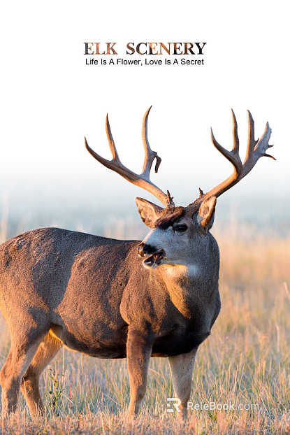 Animal painting texture