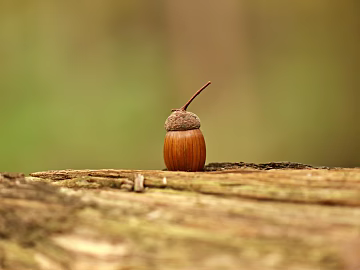 Wallpaper texture (ID:ffaeg95247)