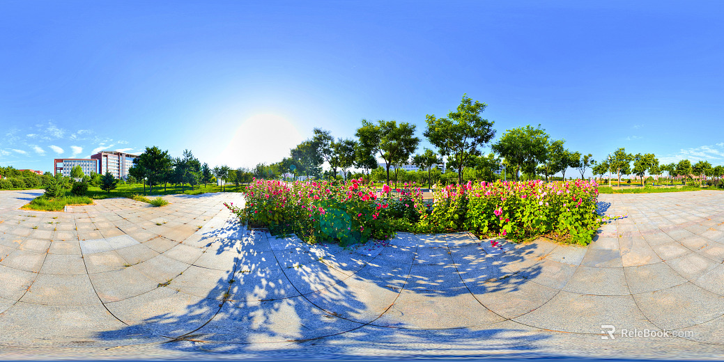 HDR ecological greening garden panorama texture