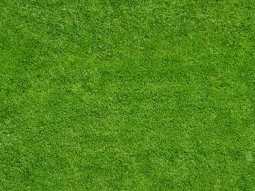 Turf texture (ID:ffajg81285)