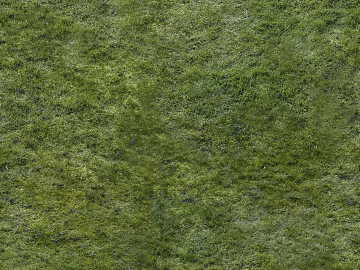 Turf texture (ID:ffagg59449)