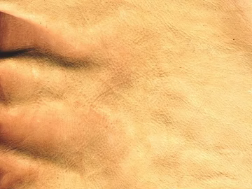 Skin texture (ID:ffabg59064)