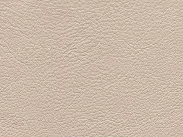 Coarse-grain leather 3d model