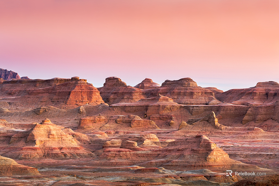 Wild Scenery texture
