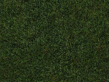 Turf texture (ID:ffaag86046)