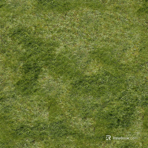 Turf texture
