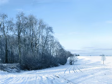 Snow texture (ID:ffaag64827)