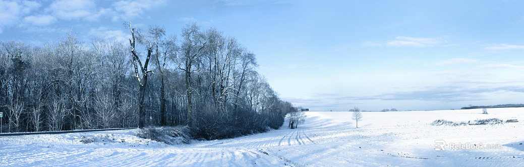 Snow texture