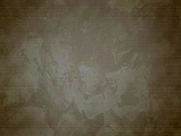 Pattern Cloth 3d model