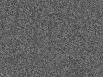 Coarse-grain leather 3d model