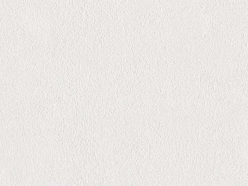 White latex paint for interior walls 3d model