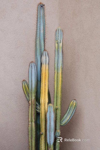 Plant painting texture