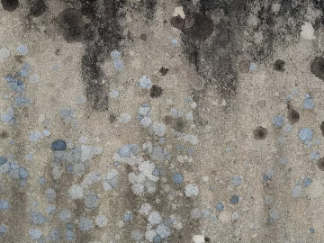 Wall texture (ID:ffaeg72808)