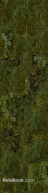 bark texture