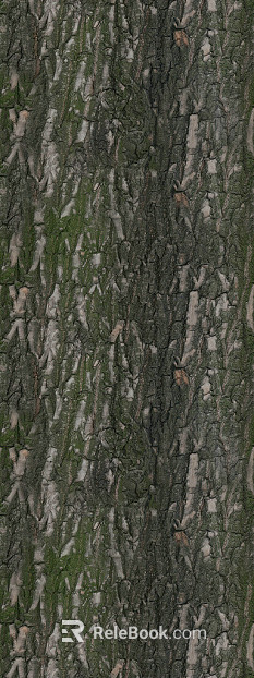 bark texture