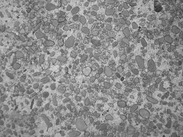 Stone Paving texture (ID:ffajg38242)