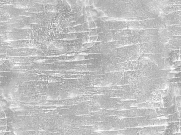 Light gray birch wood grain wall decoration texture (ID:ffaeh339166)