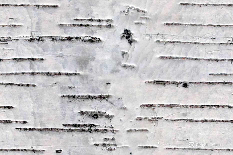 White Birch Bark Textured Wall Decoration texture