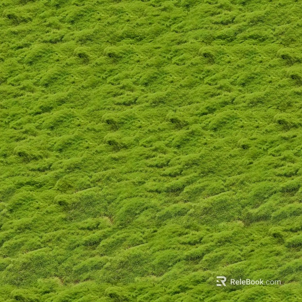 moss texture