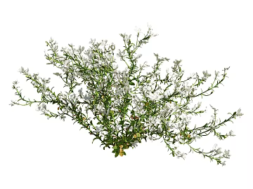 Plants texture (ID:ffaeg24079)
