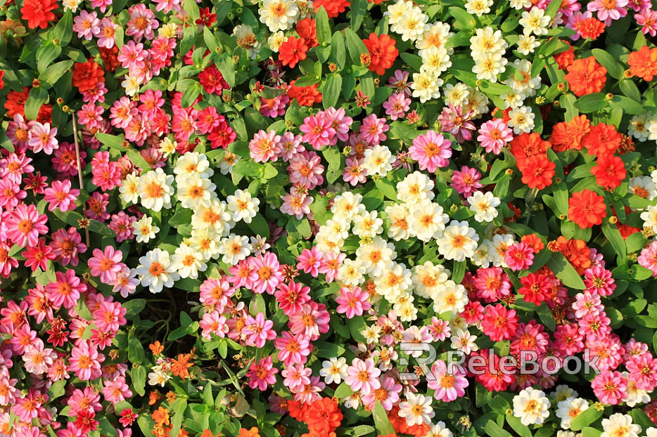 Flowers texture