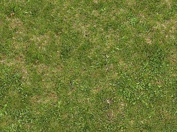 Turf 3d model