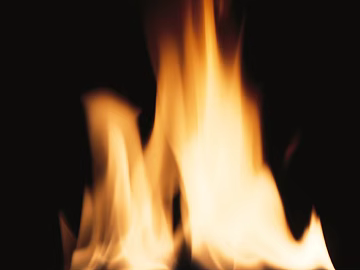 Flame 3d model