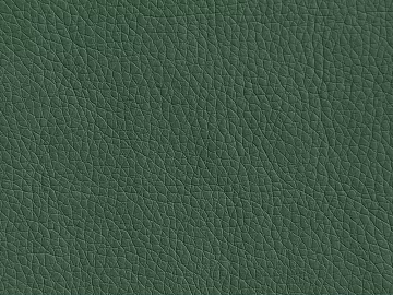 Modern Crude Leather Leather texture (ID:ffach773374)