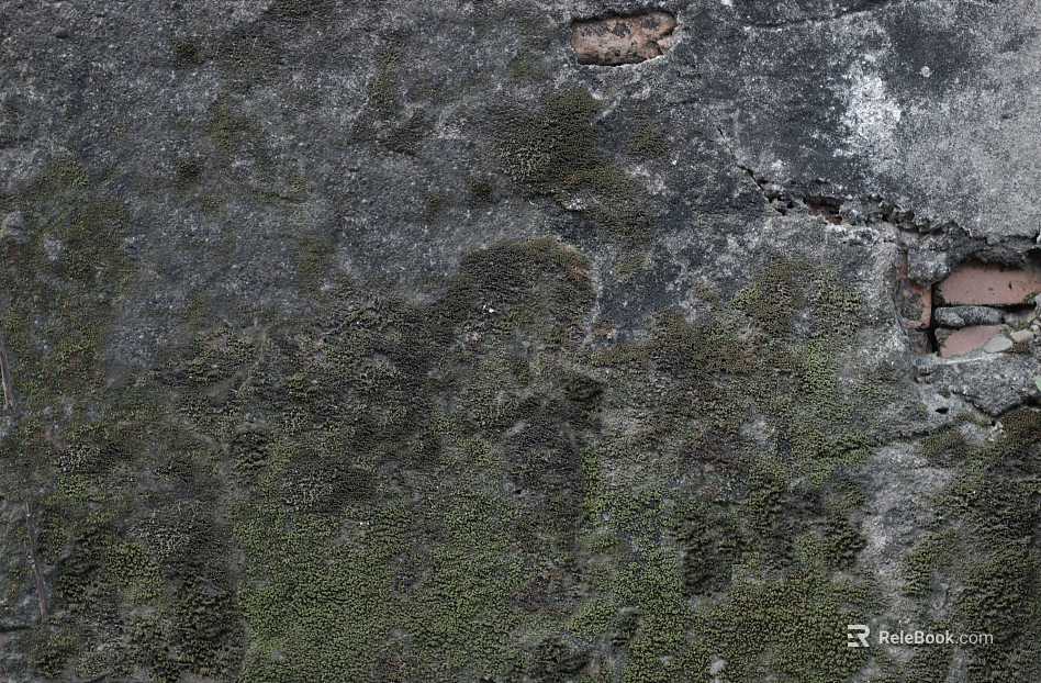 Cement wall texture