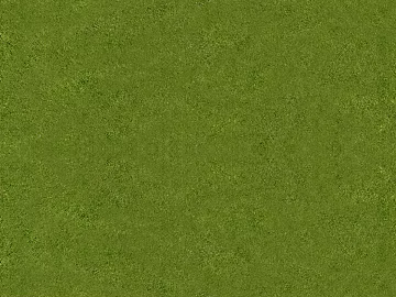Turf texture (ID:ffach190246)