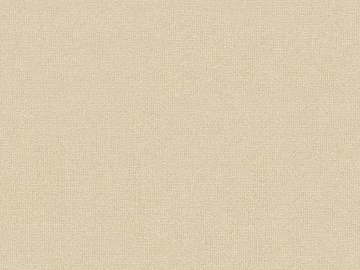 plain cloth 3d model