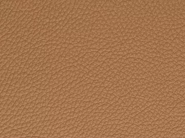 Coarse-grain leather texture (ID:ffaeh004189)
