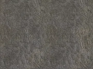 bark texture (ID:ffacg15990)