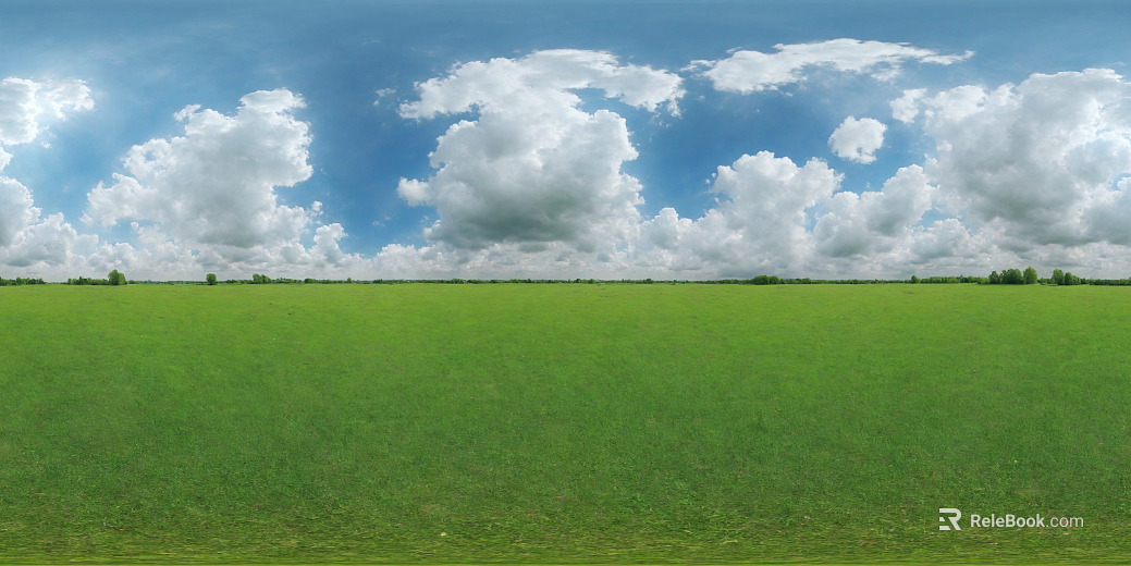 Outdoor grassland day HDR texture