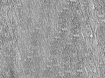 Black and White Bump texture (ID:ffaag34326)