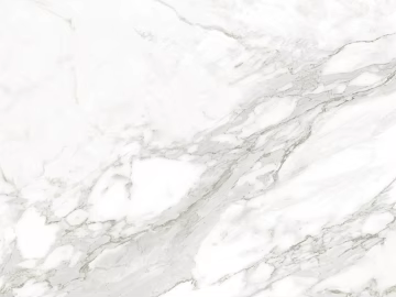 Eagle Brand Tile Marble 3d model