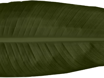 Dark green broad leaf decorative material texture (ID:ffaeh360936)