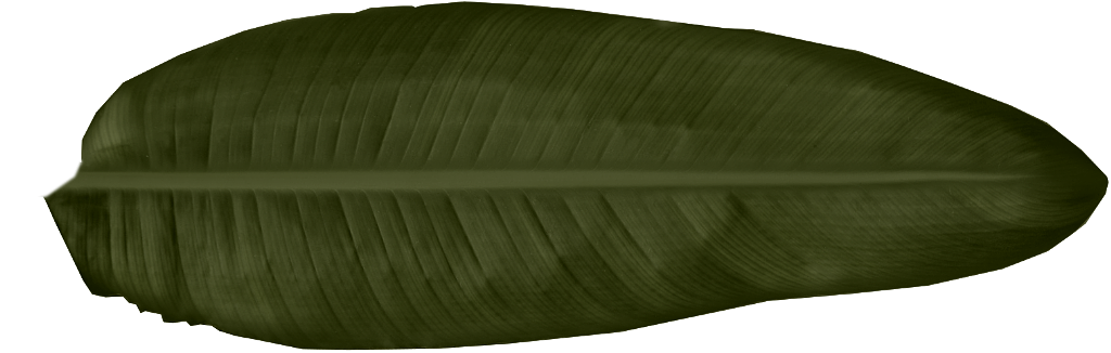 Dark green broad leaf decorative material texture