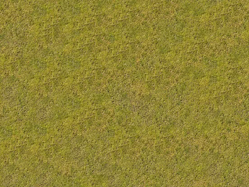 Turf texture (ID:ffaeh304467)
