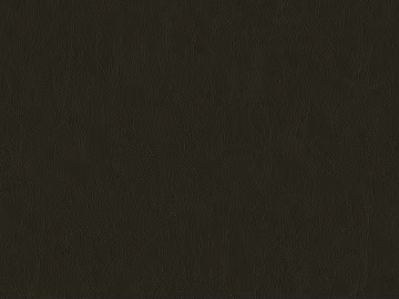 fine grain leather texture (ID:ffajg15834)