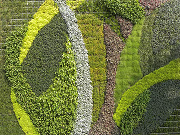 Plants texture (ID:ffabg88913)