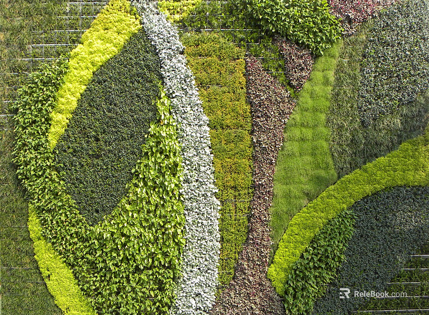 Plants texture