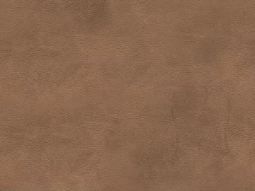 fine grain leather texture (ID:ffaeg02208)