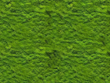 moss texture (ID:ffadg11389)
