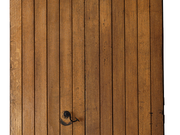 Wooden door texture (ID:ffajg04572)