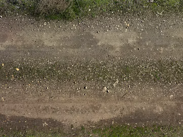 Grassland texture (ID:ffabg50708)