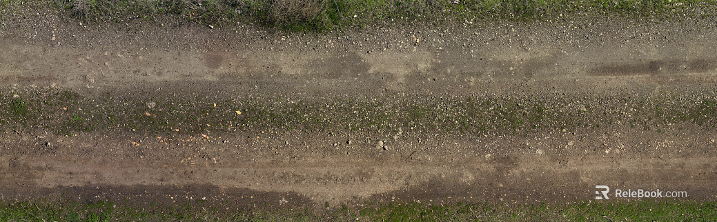 Grassland texture
