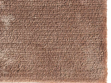 Plain pattern carpet texture (ID:ffagg72142)